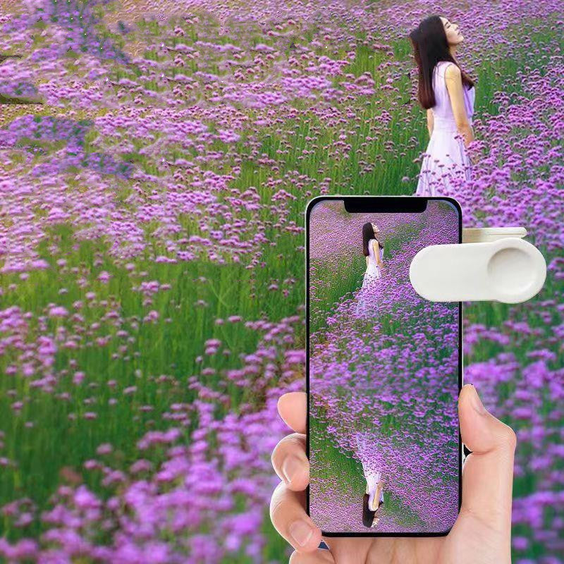 Reflektify