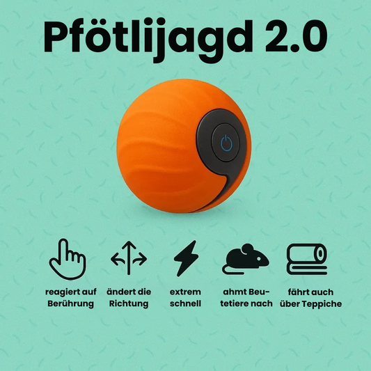 Pfötlijagd 2.0