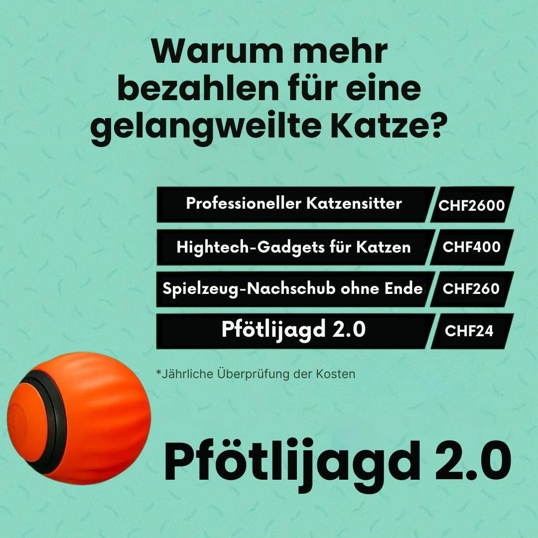 Pfötlijagd 2.0